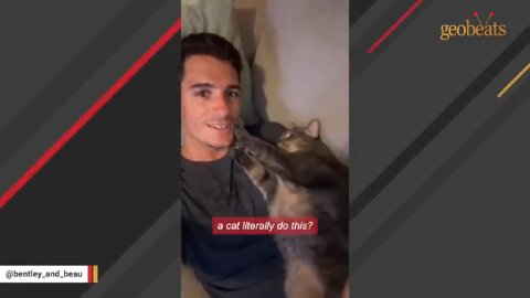 Bentley: The Cat Who Found His Human Soulmate