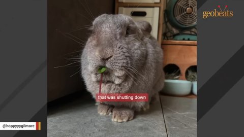 From Solitary Confinement to a Lifetime of Love: The Heartwarming Transformation of Gilmore