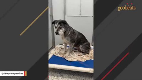 1 Powerful Story: How Tiya Found Hope After Abandonment