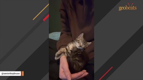 5 Heartwarming Reasons Why This Unlikely Friendship Will Change Your Life
