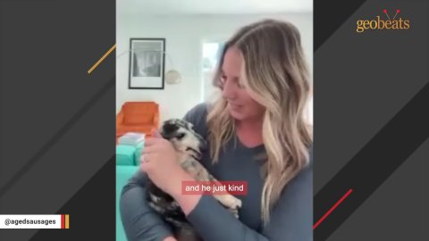 5 Miraculous Reasons to Adopt a Senior Dog: A Heartwarming Senior Dachshund Rescue Story